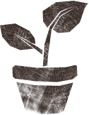 growing plant in a pot with a tree ring background